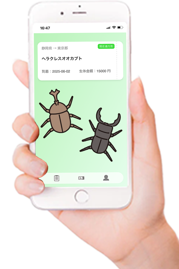 装飾画像